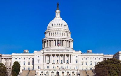935 New Government Contract Opportunities and Growing
