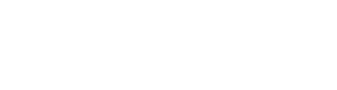 bc2match-logo-white-gray